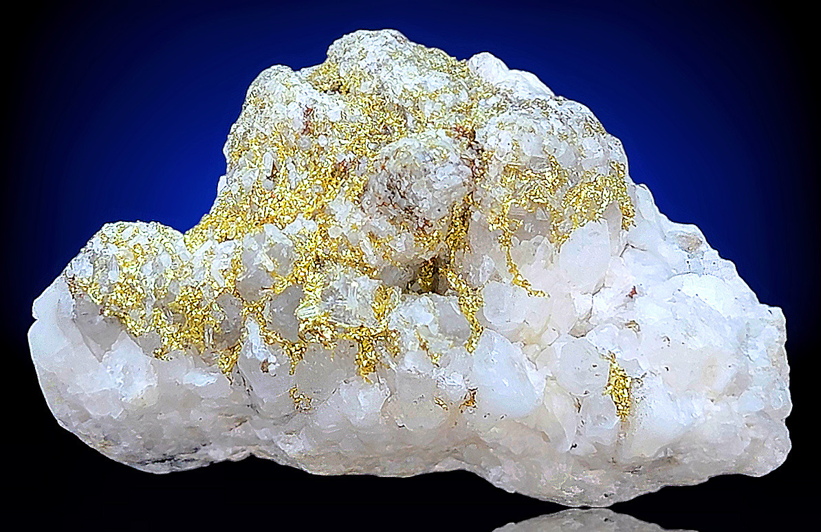 Natural native gold in quartz rough crystal from Oriental Mine, Alleghany District, Sierra County, California, outlet USA.